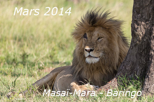 Kenya 2014