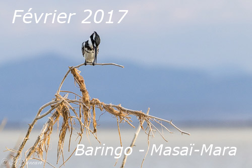 Kenya 2017