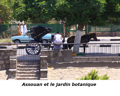 Assouan et le jardin botanique