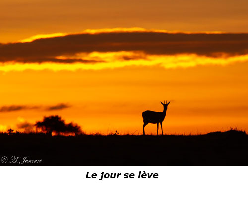 Lever de soleil