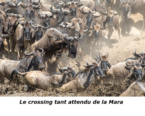 Le crossing