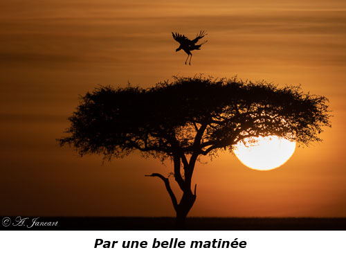 Levé de soleil