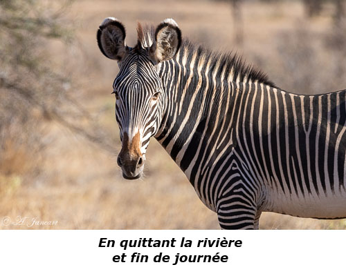 La vallées des Rois