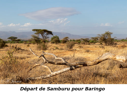 Paysage de Samburu