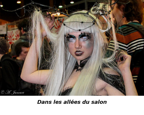 Dans le salon 2013