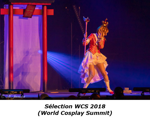 Sélection WCS 2018